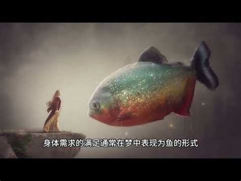 夢到龍魚號碼|夢見各種夢所代表的樂透數字（動物篇），周公解夢大全查詢